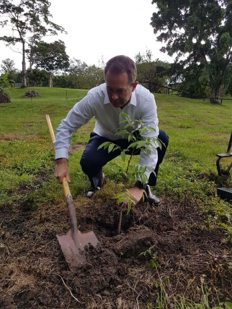 Andrew Wallace MP planting a tree with Mooloolah River Landcare