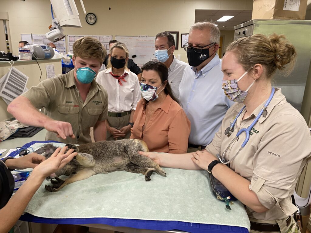 Andrew Wallace MP with Prime Minister Scott Morrison and Robert Irwin at Australia Zoo Wildlife Hospital with a Koala